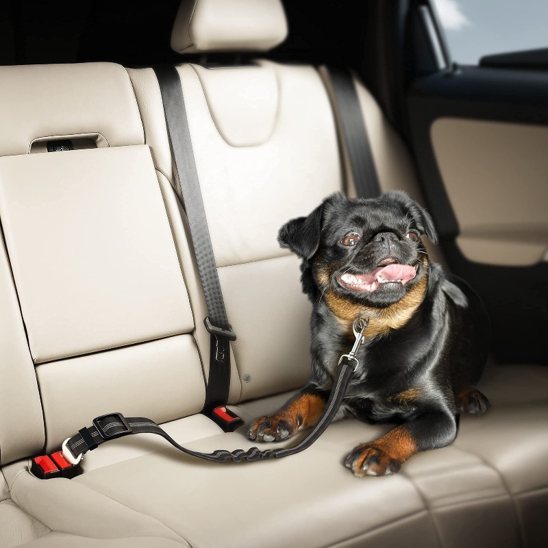 Retractable Dog Car Harness Se - đánh giá và giá Snap Fastener Set