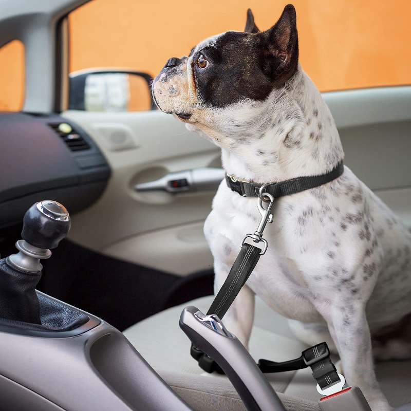 Retractable Dog Car Harness Se - đánh giá và giá Snap Fastener Set